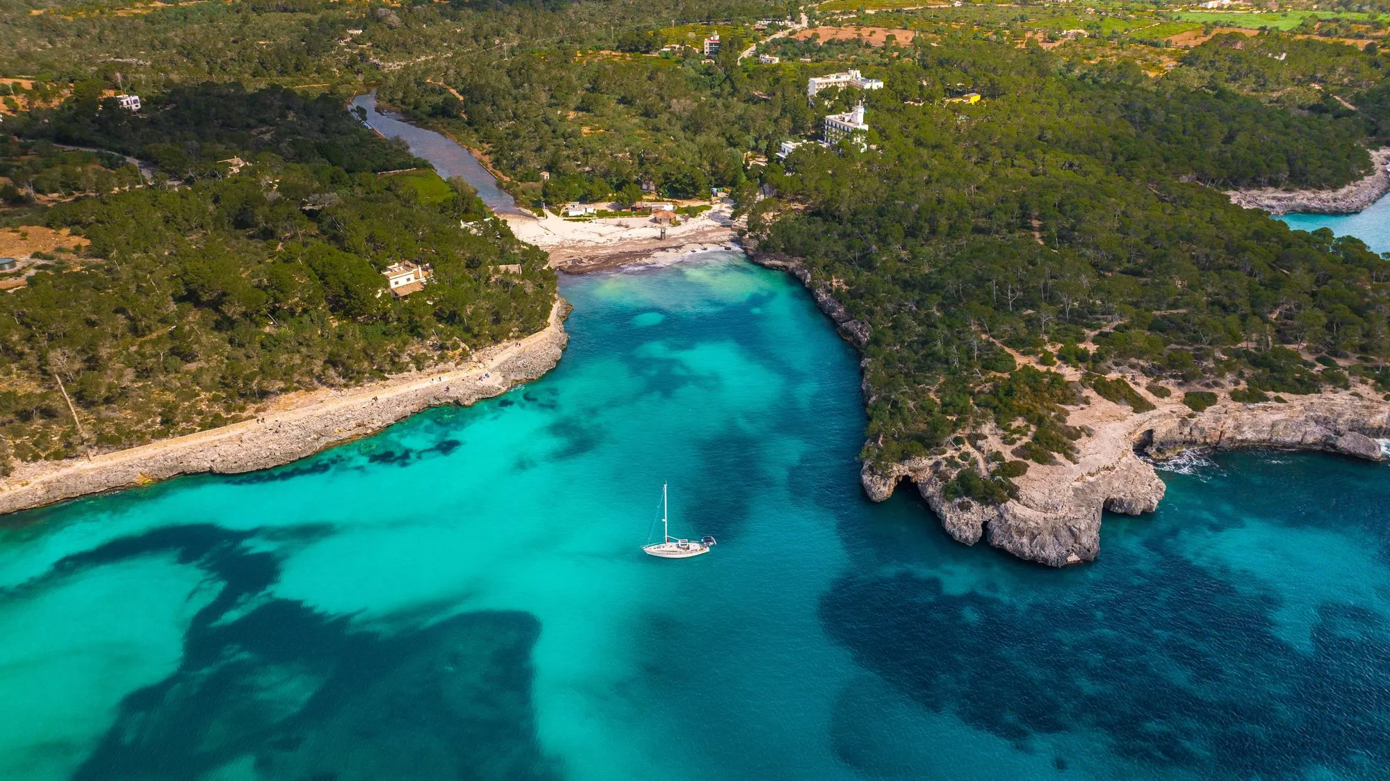 Turquoise cove lined with pine trees